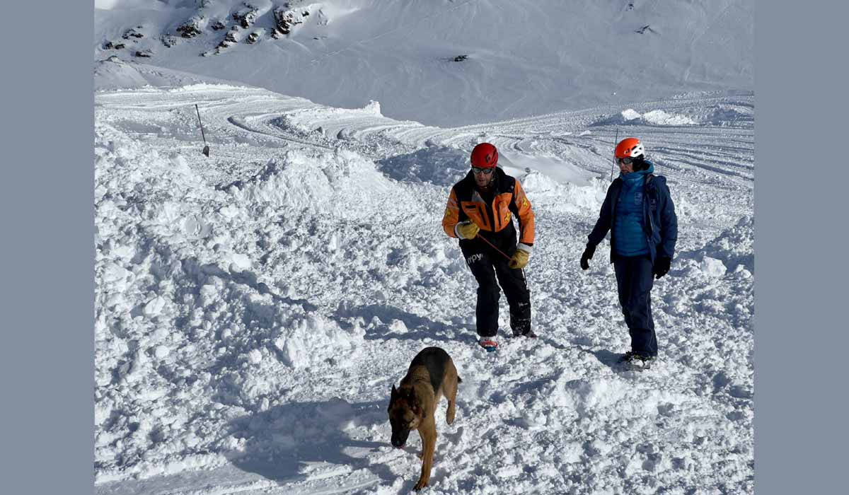 Aux 2 Alpes, les professionnels de la montagne se préparent à la saison d’hiver : 20e formation « A.N. E. N. A. « des maîtres-chiens d’avalanche aux 2 Alpes
