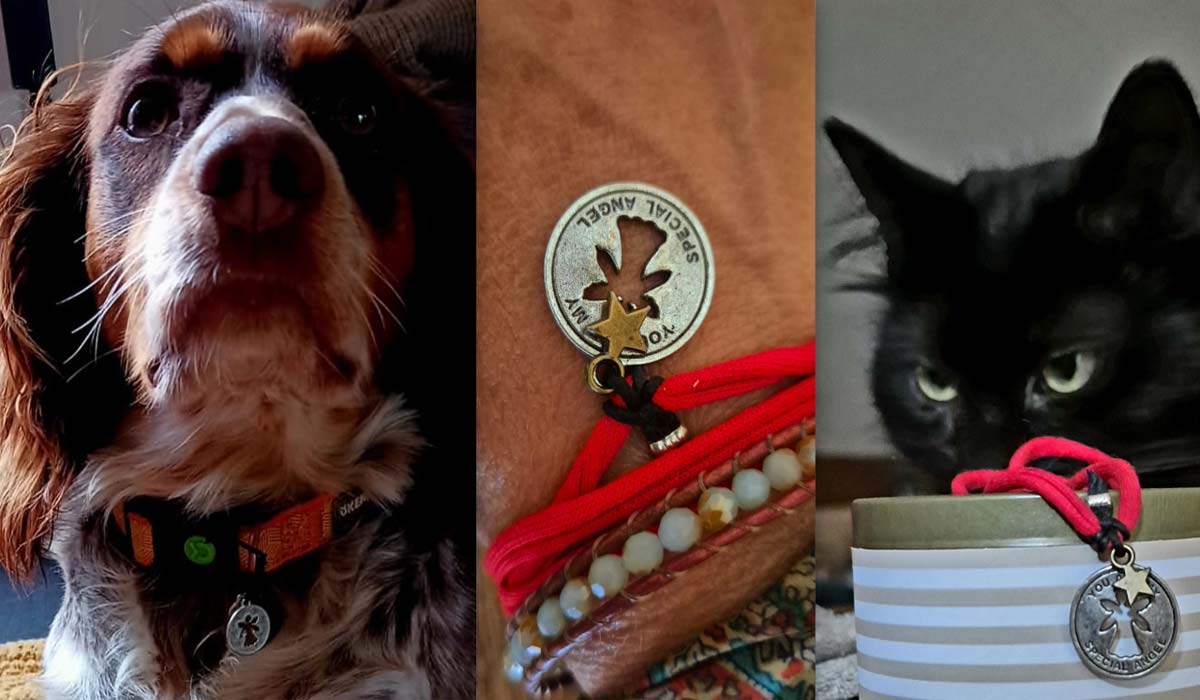 Une médaille, un lien entre les animaux et nous pour l’éternité