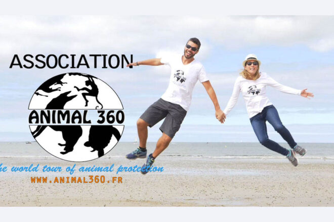 Ces deux français ont fait le tour du monde en 80… refuges pour animaux !