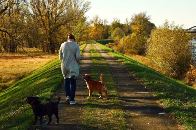 Avec AMIMALIFE, je fais partie des Petsitters professionnels ! 