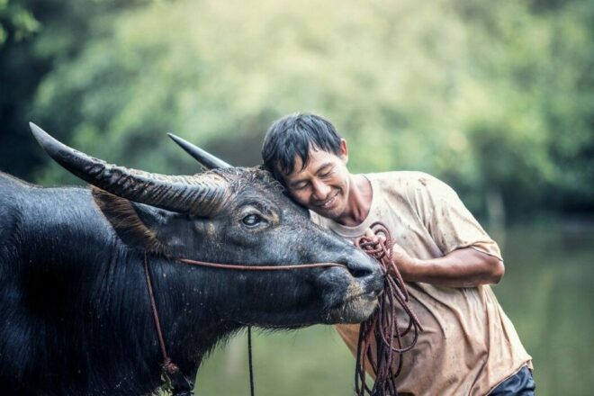 De l’objet à l’être sensible : une vérité à enseigner