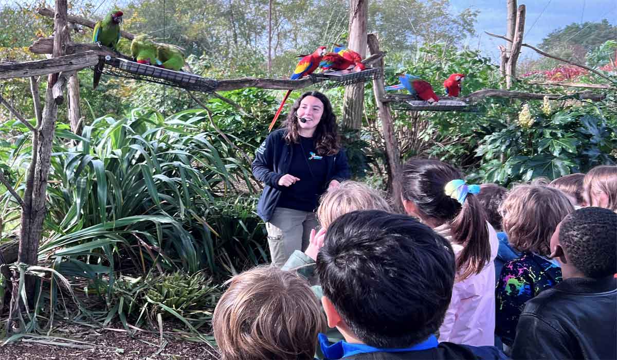 Parrot World, acteur clé de l’éducation à la biodiversité : former les générations de demain