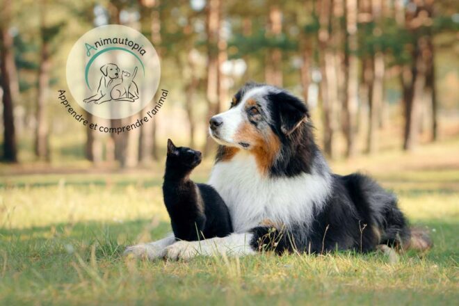 Se former aux métiers animaliers