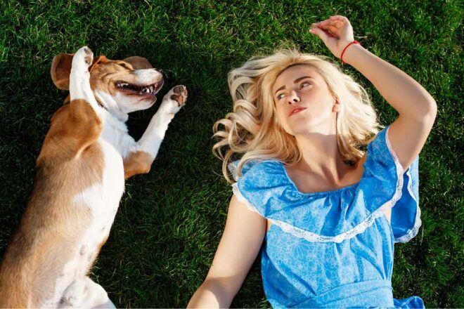 Animou : quand tout un quartier se mobilise pour retrouver un animal perdu