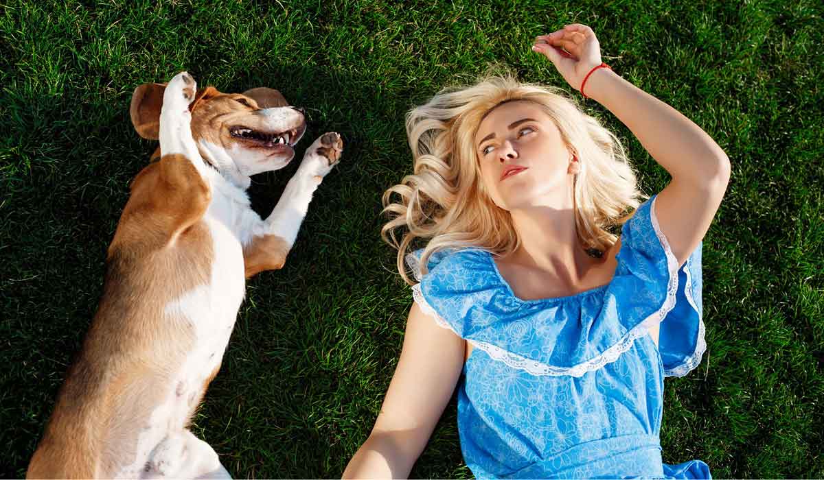 Animou : quand tout un quartier se mobilise pour retrouver un animal perdu Animou : quand tout un quartier se mobilise pour retrouver un animal perdu