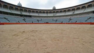 Pour la première fois, une proposition de loi de Samantha Cazebonne et d’Arnaud Bazin interdisant la présence des enfants lors de corridas est mise à l’ordre du jour !
