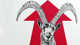 Arrêtez le massacre des animaux sauvages