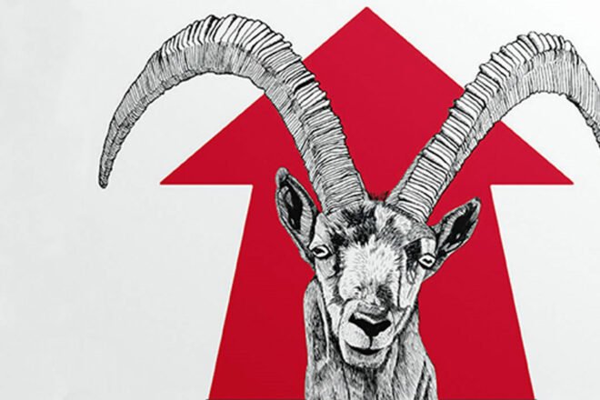 Arrêtez le massacre des animaux sauvages