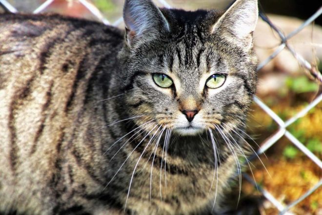 Art 3 bis de la proposition de loi de lutte contre la maltraitance : malgré des avancées significatives, les points d’inquiétude persistent !