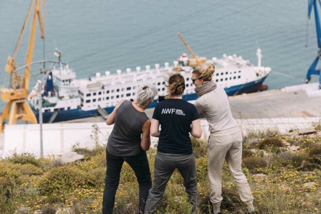Transport des animaux : mettons fin à un système cruel !