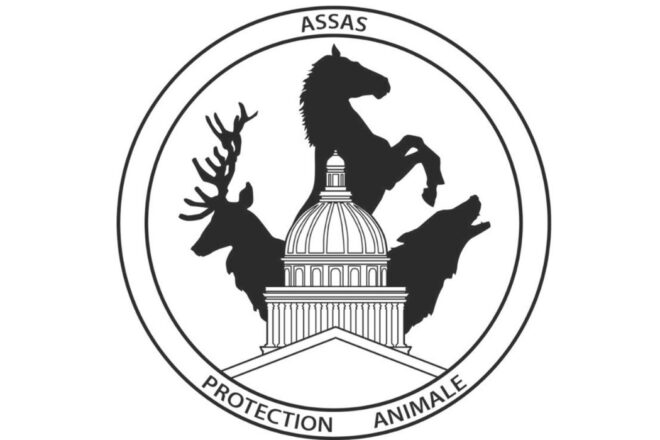 Assas Protection Animale 