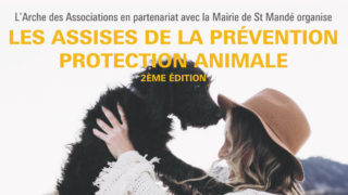 L’adoption d’un animal… En réponses ! Est-ce l’affaire de tous et pour tous ?