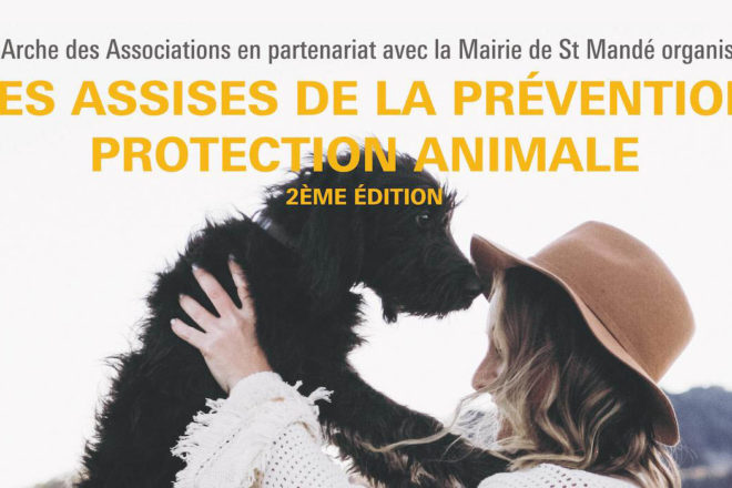 L’adoption d’un animal… En réponses ! Est-ce l’affaire de tous et pour tous ?