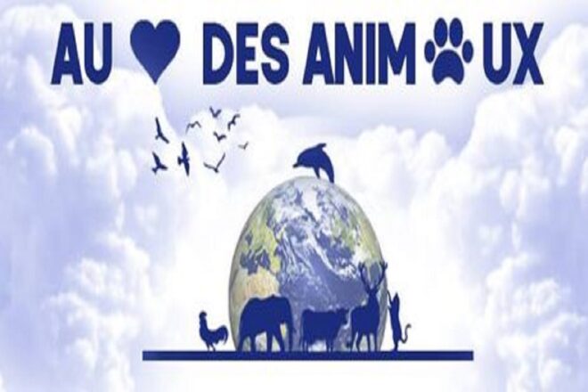 Marne : une association au grand cœur 