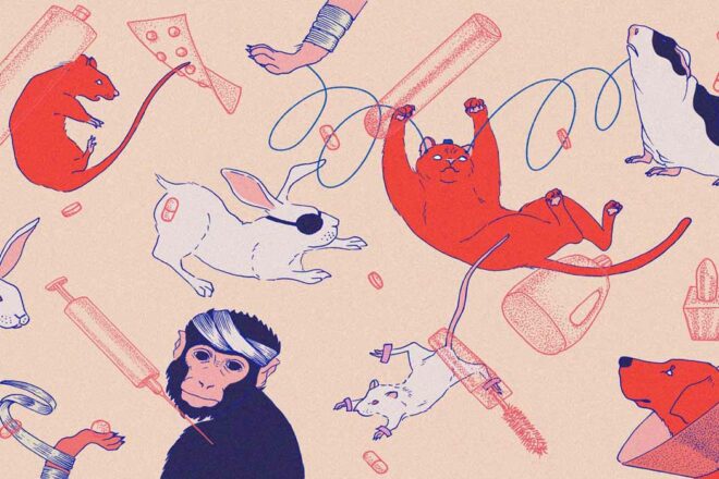 Questions à Audrey Jougla, Animal Testing. Sortons les animaux des labos !