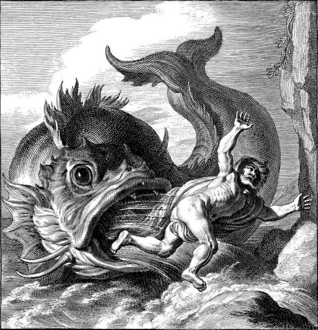 La Baleine gardienne entre «terre et ciel» ⋆ Savoir Animal