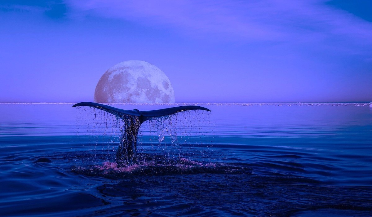 La Baleine gardienne entre «terre et ciel»