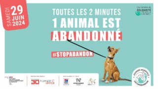 Samedi 29 juin 2024 : marche des croquettes à Paris