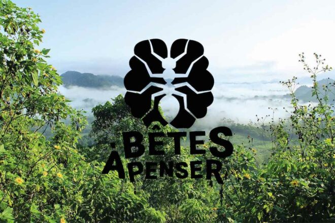 « Bêtes à penser » où l’on parle d’intelligence animale