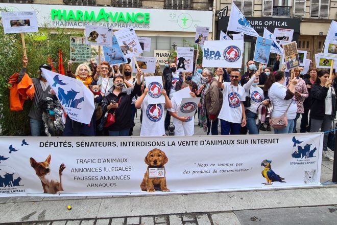 La vente d’animaux en ligne