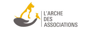 L’Arche des Associations, un OVNI dans l’espace associatif