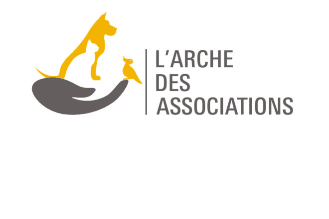 L’Arche des Associations, un OVNI dans l’espace associatif