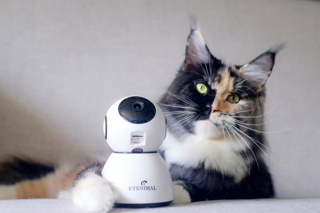 Num’Axes : l’innovation au service de l’homme, de l’animal et de  la nature