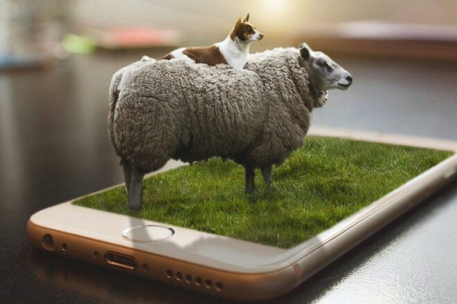 Rendons la vie et la ville plus humaine grâce aux animaux