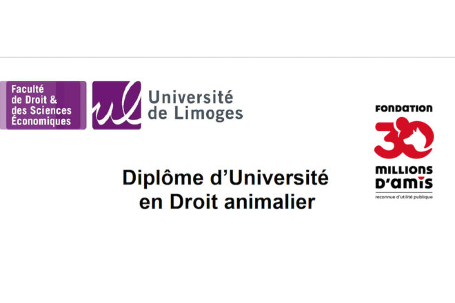 Questions à Séverine Nadaud, maître de conférences en charge du 1er DU de droit animalier en France