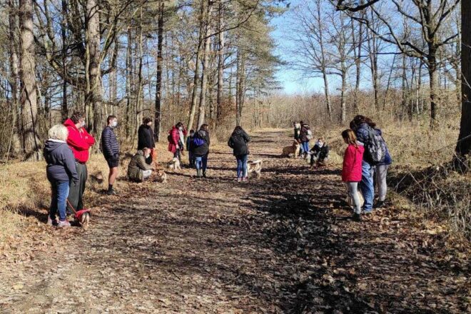 « C’est décidé, j’inscris mon chiot à la Maternelle »…