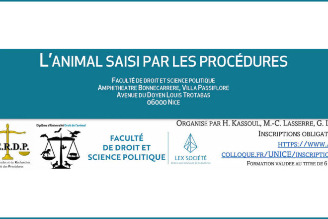 Le 28 janvier, Colloque à la Faculté de droit de Nice sur L’animal saisi par la procédure