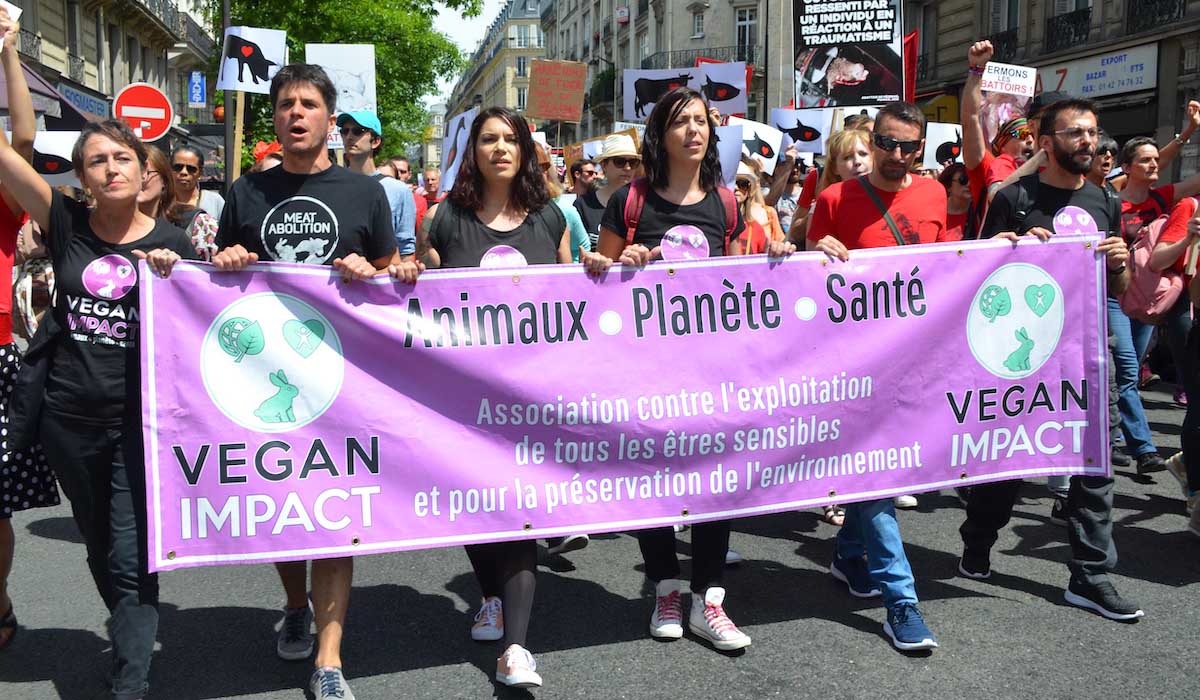 Vegan Impact : l'association qui veut changer notre regard sur les ...