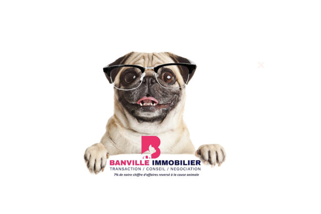 Banville immobilier : la 1ère agence immobilière solidaire à la cause animale