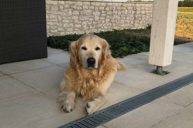 Mon Barth, ma boule de misère !