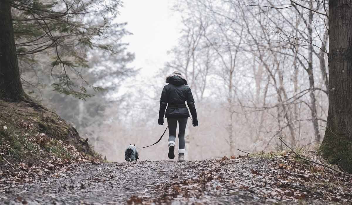 Faire de la prévention santé un pilier municipal au service des humains et des animaux