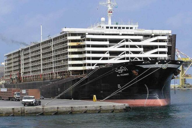 L’Europe réglemente mais ferme les yeux sur la maltraitance des animaux en haute mer