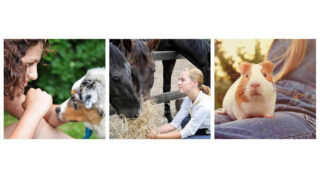 Bien-être de nos animaux médiateurs : qui ne dit mot ne consent pas forcément !
