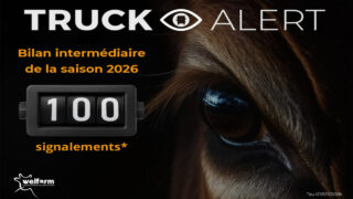 100 signalements sur l’application Truck Alert de Welfarm depuis la fin du mois de mai