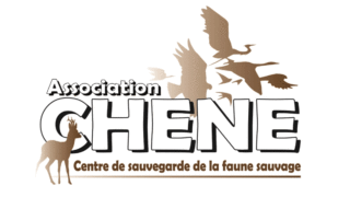 Présentation de l’association CHENE