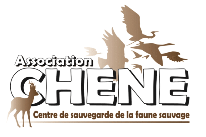 Présentation de l’association CHENE