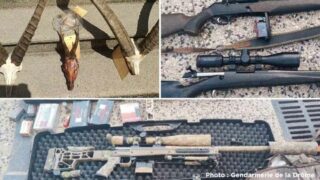 Braconnage en Isère : l’horreur dans la nuit. Audience le 5 février à Valence