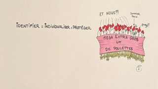 Identifier mon animal de compagnie : je dois ou je peux ? Et dans quel but ?