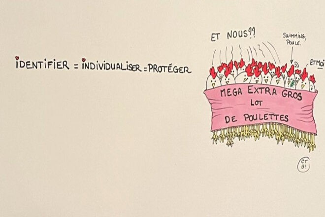 Identifier mon animal de compagnie : je dois ou je peux ? Et dans quel but ?