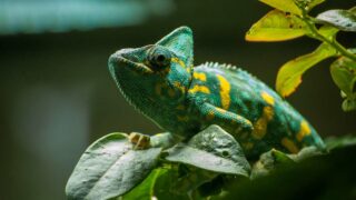 I-fap : plus d’un an d’inactivité, quelles conséquences ?