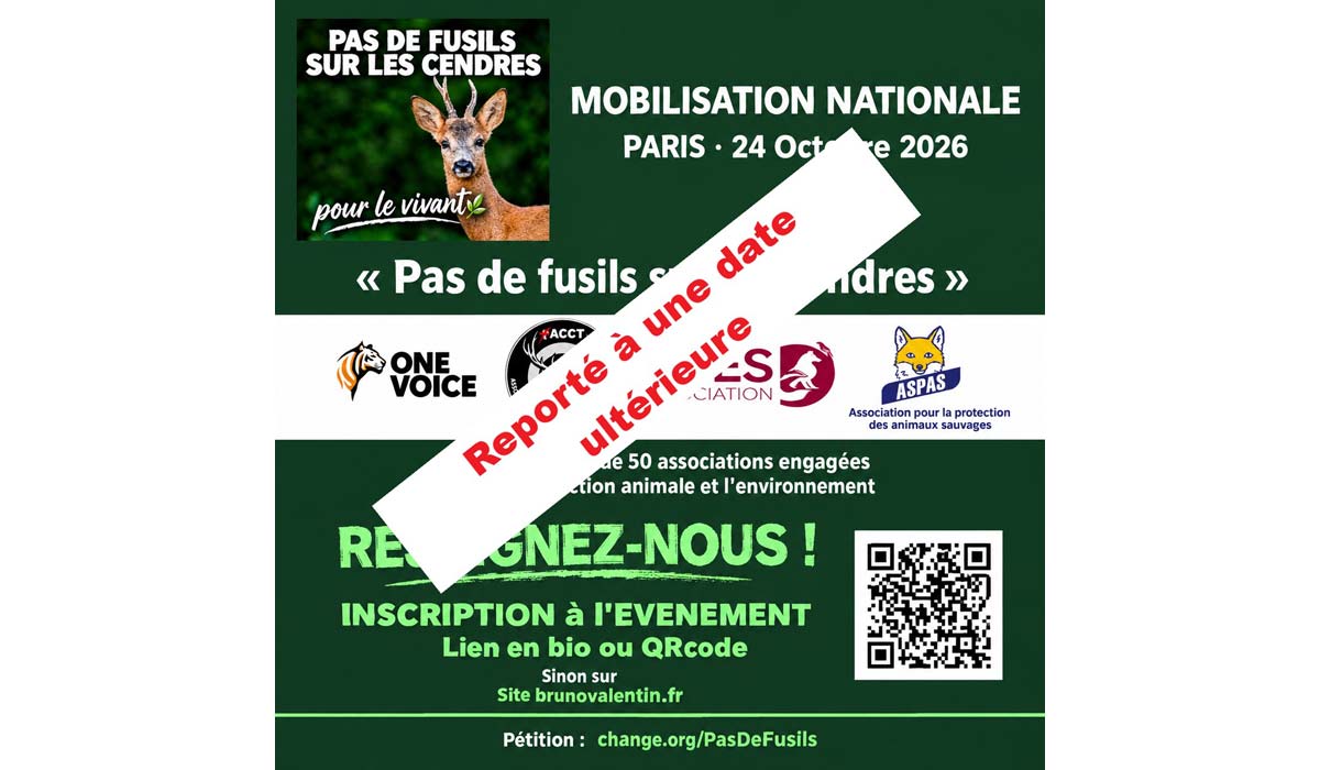 « Pas de fusils sur les cendres » : du Cantal à la marche pour le vivant