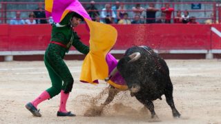 Interdiction de la corrida pour les mineurs, la grande offensive internationale