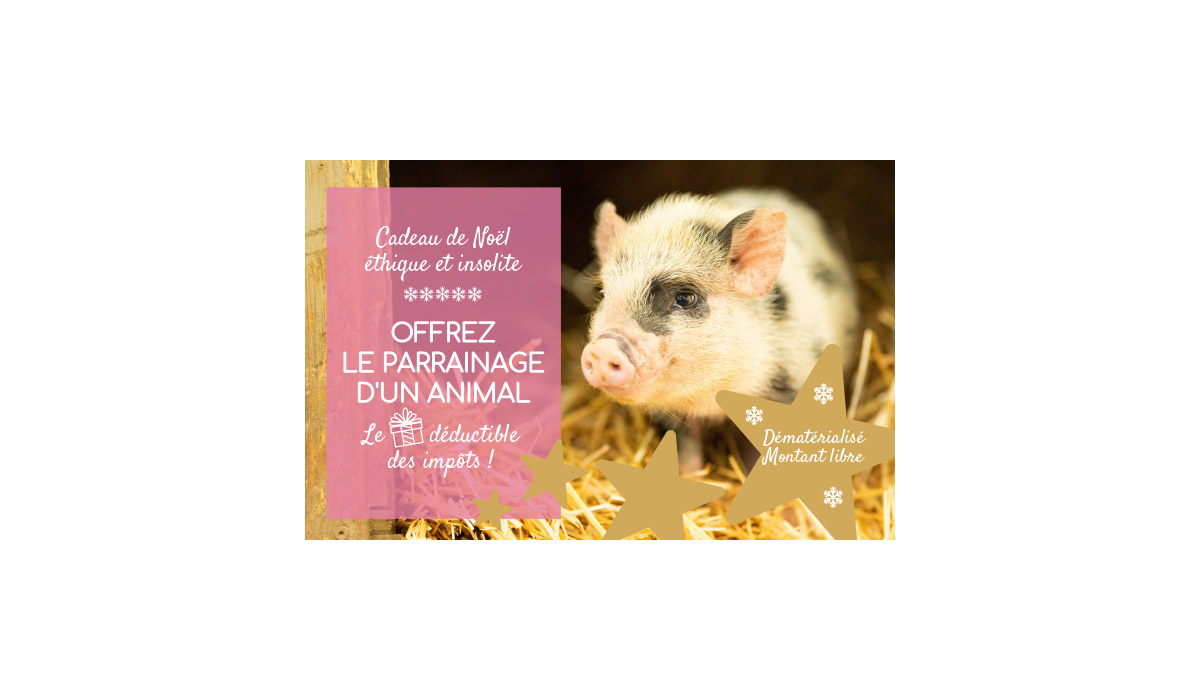 Cadeau de Noël éthique et insolite de dernière minute ! Offrir le parrainage d’un animal rescapé