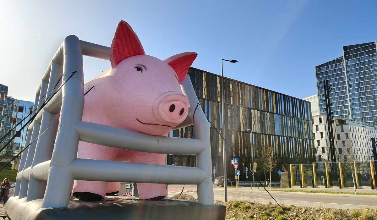 La Cour de justice de l’UE examine comment la Commission européenne a manqué à ses obligations envers les citoyens concernant l’interdiction des cages