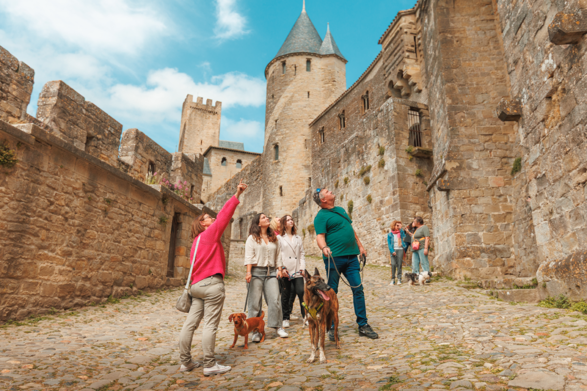Carcassonne affirme son engagement en faveur de l’accueil des animaux avec le lancement de son nouveau projet « Carcassonne, destination dog-friendly » Carcassonne affirme son engagement en faveur de l’accueil des animaux avec le lancement de son nouveau projet « Carcassonne, destination dog-friendly »