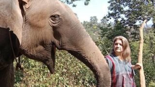 L’urgence d’agir en faveur des animaux